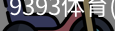 9393体育